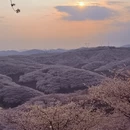 安顺旅游 缩略图 2