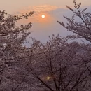 安顺旅游 缩略图 4
