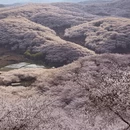 安顺旅游 缩略图 9