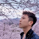安顺旅游 缩略图 1