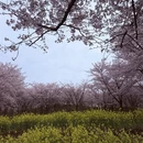 安顺旅游 缩略图 7