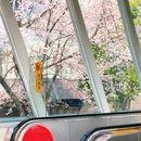 贵阳旅游 缩略图 2