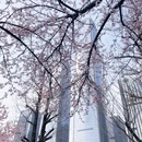 贵阳旅游 缩略图 1