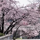 贵阳旅游 缩略图 9