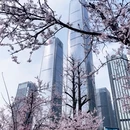 贵阳旅游 缩略图 4