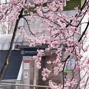 贵阳旅游 缩略图 5
