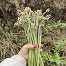 贵阳旅游 缩略图 2