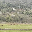 贵阳旅游 缩略图 5