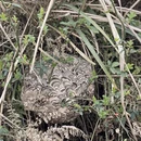 贵阳旅游 缩略图 6