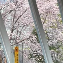 贵阳旅游 缩略图 10
