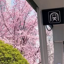 贵阳旅游 缩略图 7