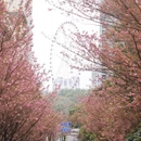 贵阳旅游 缩略图 4