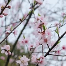 贵阳旅游 缩略图 8