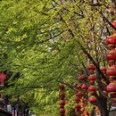 贵阳旅游 缩略图 8