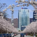 贵阳旅游 缩略图 4