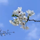 贵阳旅游 缩略图 2