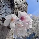贵阳旅游 缩略图 8