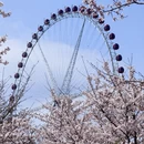 贵阳旅游 缩略图 9