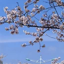 贵阳旅游 缩略图 16