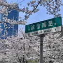贵阳旅游 缩略图 7