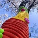贵阳旅游 缩略图 14