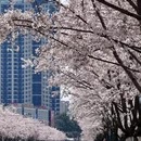 贵阳旅游 缩略图 12