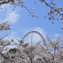 贵阳旅游 缩略图 15