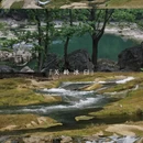安顺旅游 缩略图 7