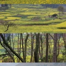 安顺旅游 缩略图 8
