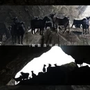 安顺旅游 缩略图 9
