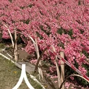 福州旅游 缩略图 1
