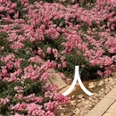 福州旅游 缩略图 3