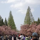 合肥旅游 缩略图 1