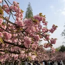 合肥旅游 缩略图 5