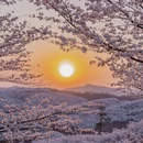 安顺旅游 缩略图 1