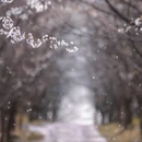 安顺旅游 缩略图 2
