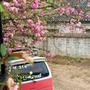 贵阳旅游 缩略图 2