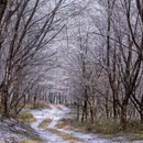 安顺旅游 缩略图 5