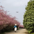 贵阳旅游 缩略图 3