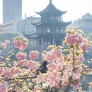 贵阳旅游 缩略图 5