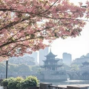 贵阳旅游 缩略图 6