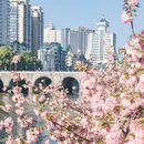 贵阳旅游 缩略图 3