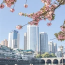 贵阳旅游 缩略图 9