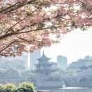 贵阳旅游 缩略图 7