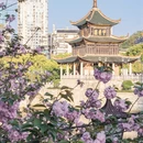 贵阳旅游 缩略图 15