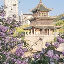 贵阳旅游 缩略图 16