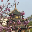 贵阳旅游 缩略图 14