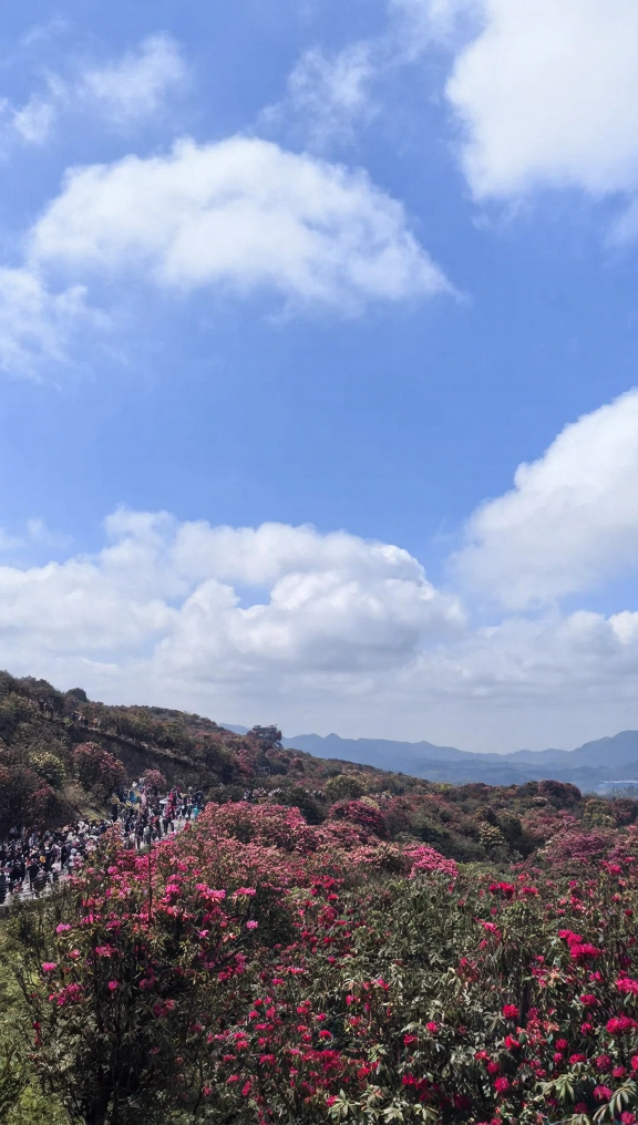 毕节旅游
