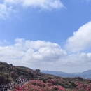 毕节旅游 缩略图 1