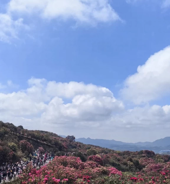 毕节旅游 1